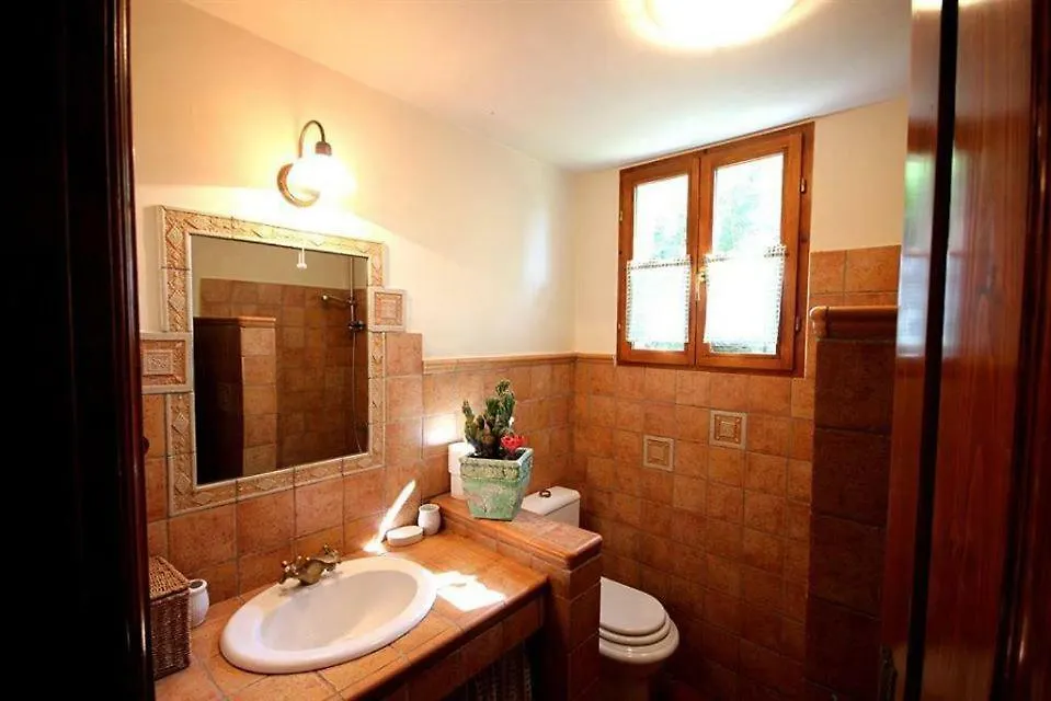 Villa Violica, Karnevali Žminj